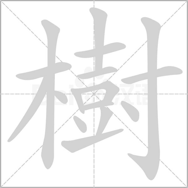 樹的笔顺动画演示